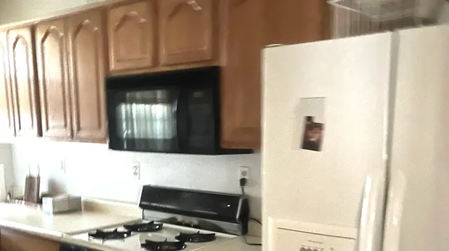 $99,000 | 8135 South Prairie Avenue, Unit 2, Chicago, IL 60619