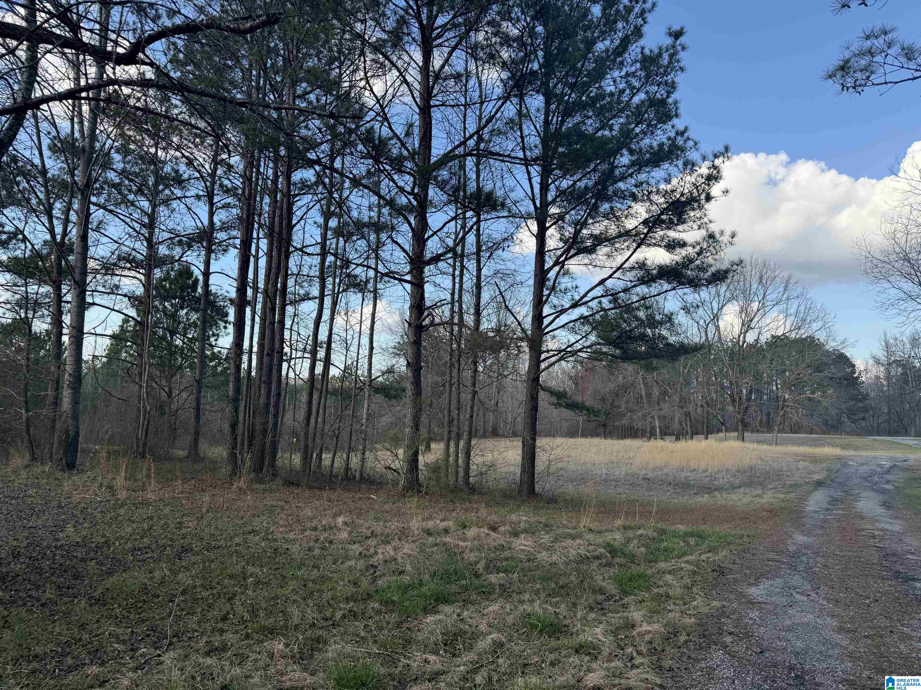 0 County Road 448 Clanton, AL 35046 - Photo 3 of 6