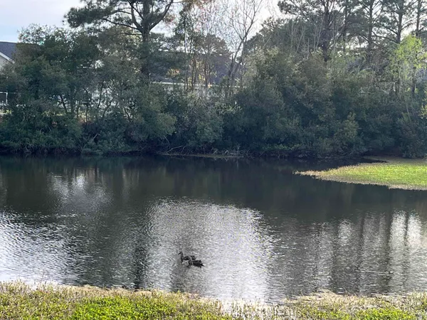 $251,899 | 2719 Woodcreek Lane, Conway, SC 29527