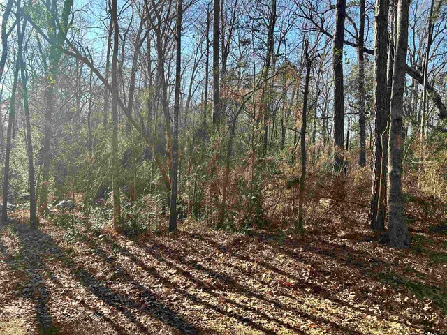 $126,000 | 3194 Mt Enterprise Tx 75681, Mount Enterprise, TX 75681