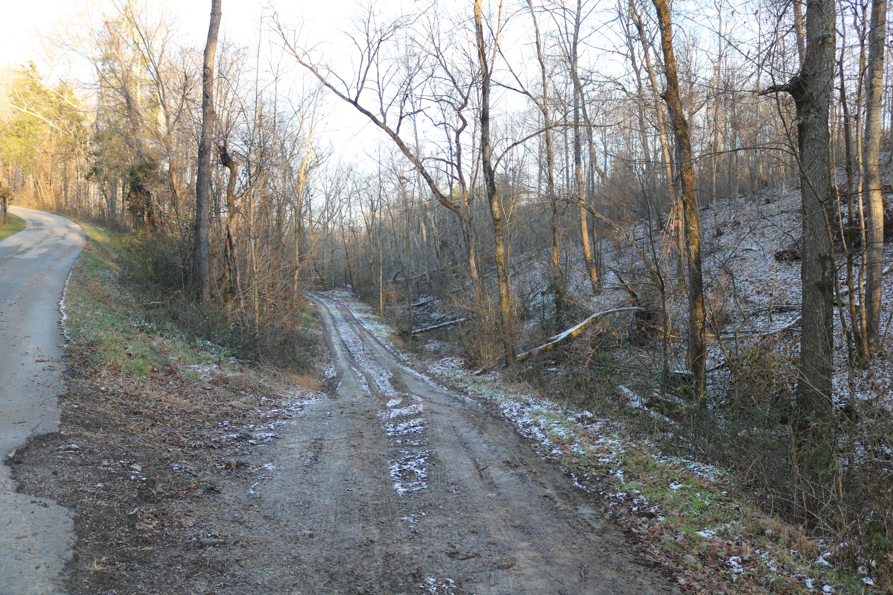 1 B Sharp Road Sharpsburg, KY 40374 - Photo 5 of 6 IMG_7154