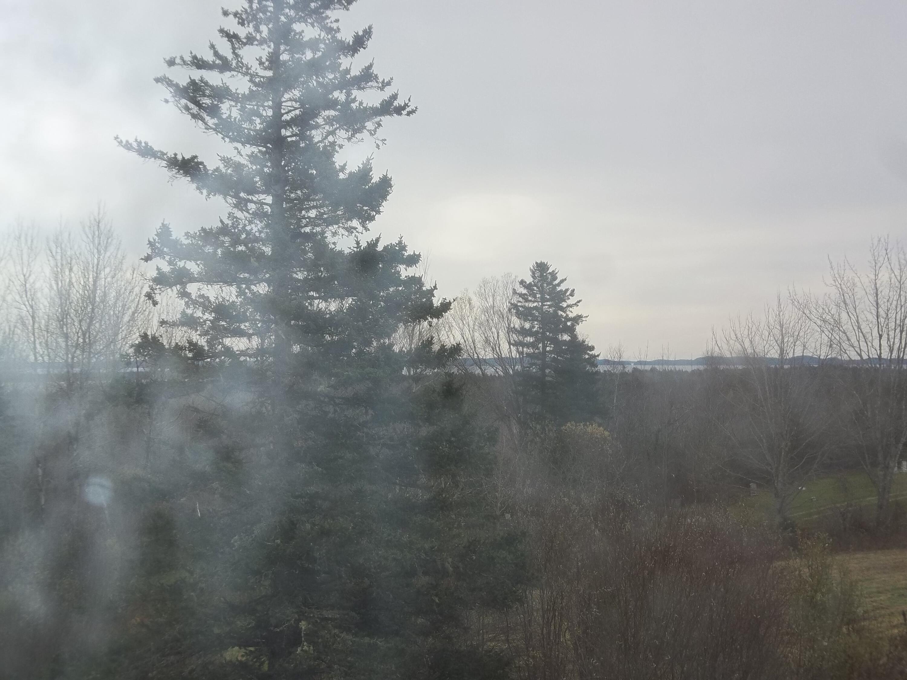 285 Ridge Road Robbinston, ME 04671 - Photo 46 of 46 100_1094