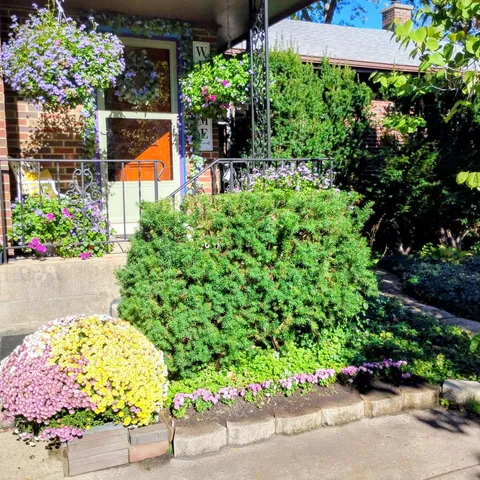 a view of a flowers in front of a house