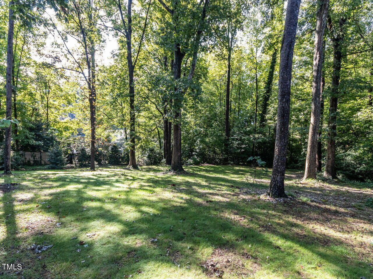 3203 Leonard Street Raleigh, NC 27607 - Photo 48 of 50 backyard