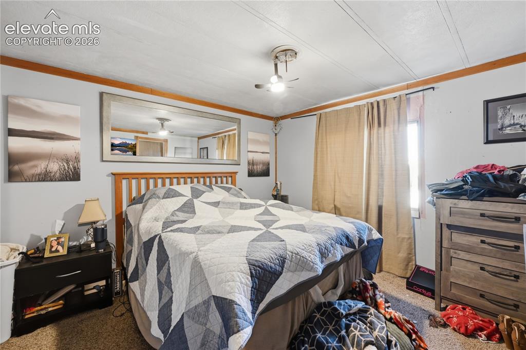 7775 Brule Road Colorado Springs, CO 80908 - Photo 28 of 28