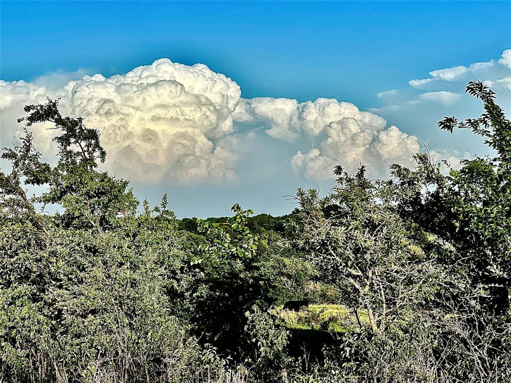 0 Fm 3206 St. Jo, TX 76265 - Photo 4 of 34