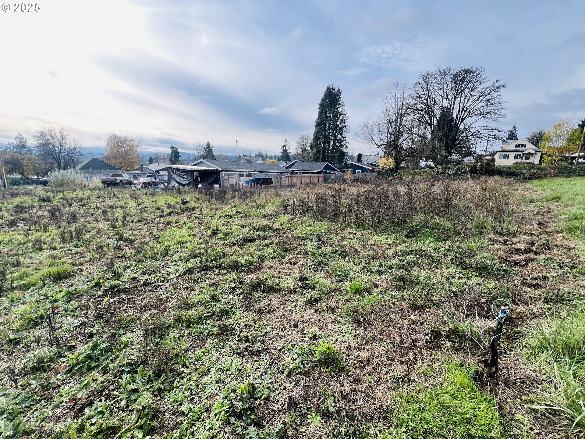 0 Northeast 4th Street Willamina, OR 97396 - Photo 2 of 9