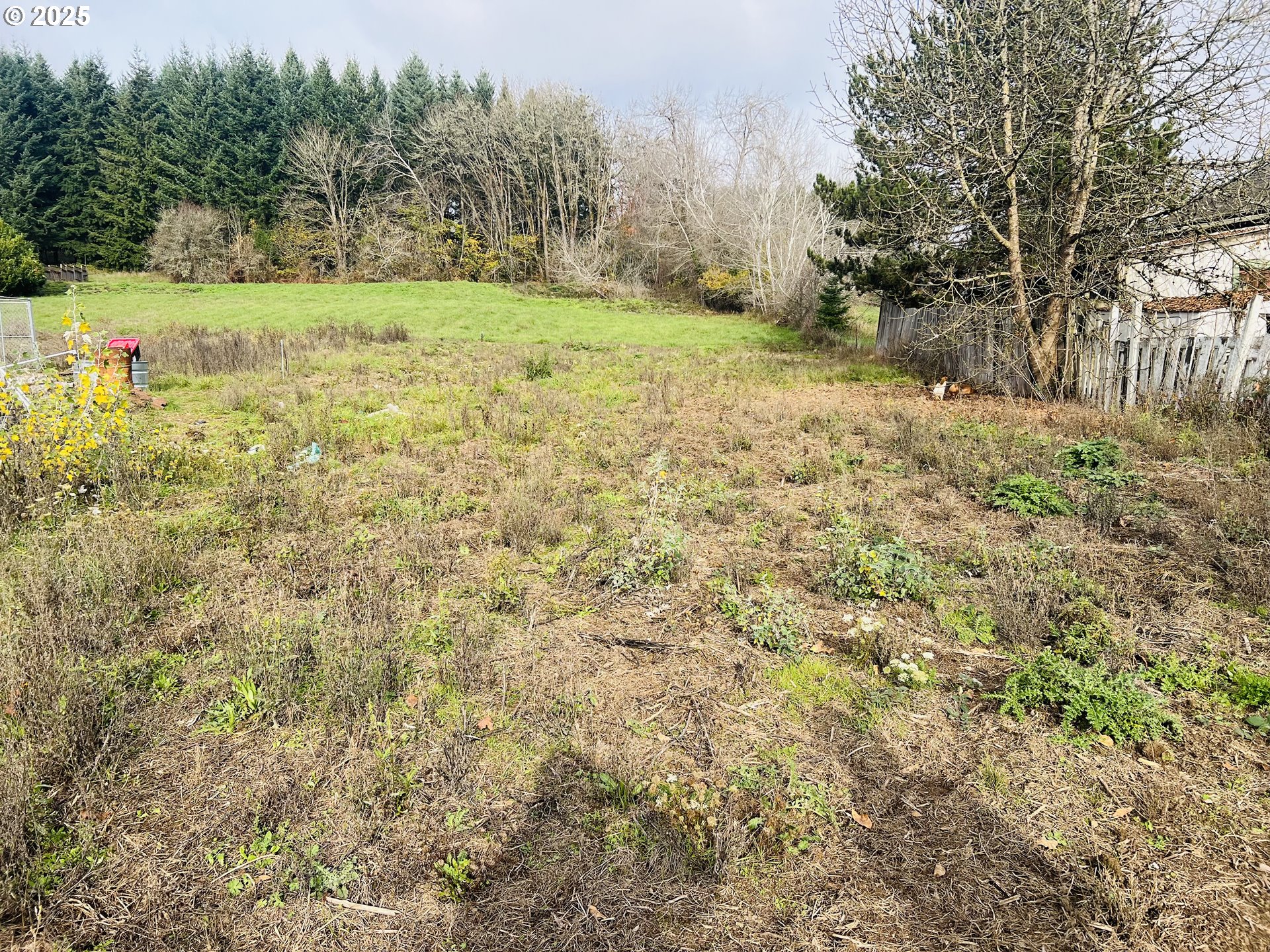 0 Northeast 4th Street Willamina, OR 97396 - Photo 5 of 9