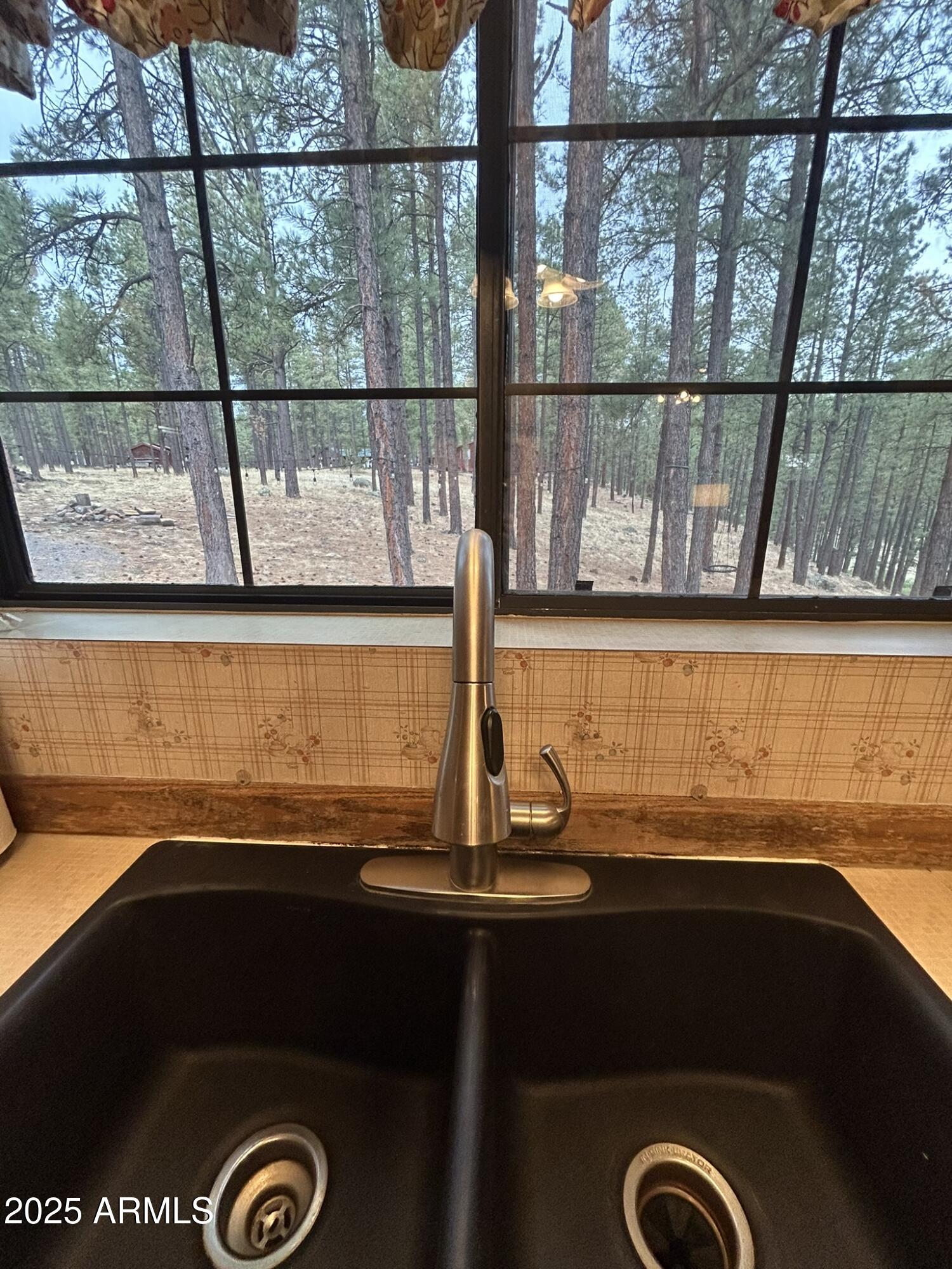 3 County Road Greer, AZ 85927 - Photo 16 of 65 a view of a sink and a window