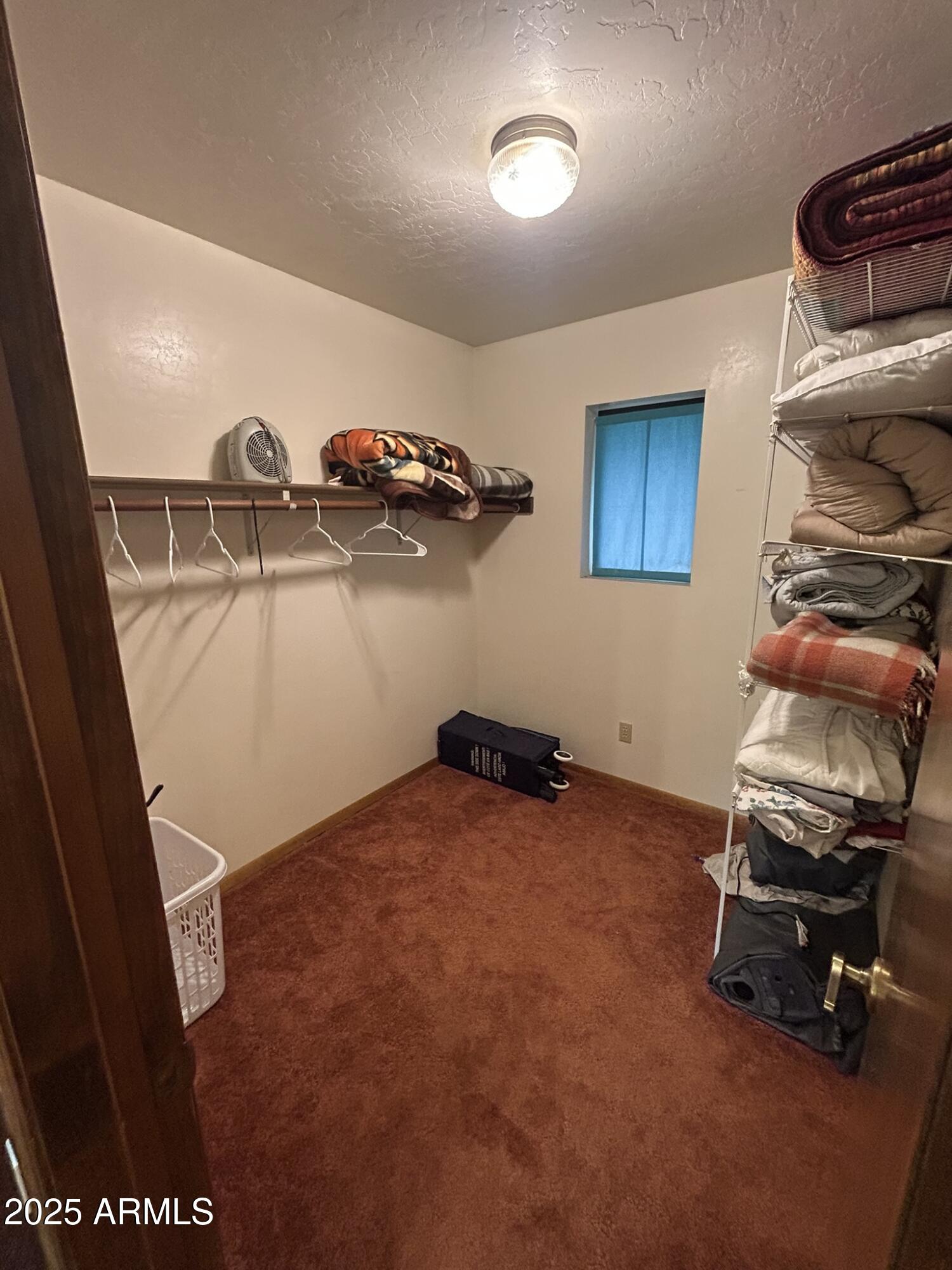 3 County Road Greer, AZ 85927 - Photo 31 of 65 IMG_3944