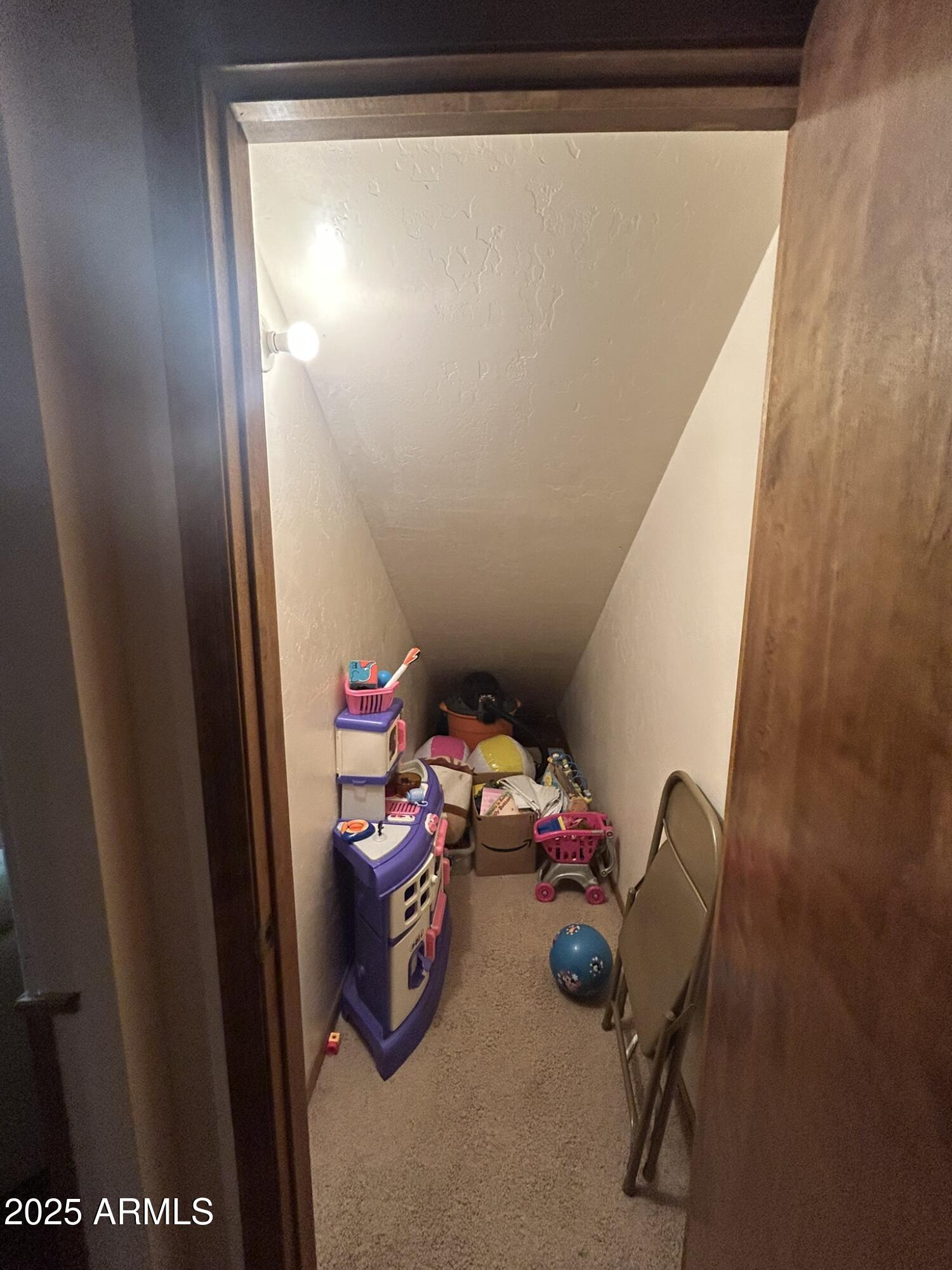 3 County Road Greer, AZ 85927 - Photo 43 of 65 a view of storage and utility room with windows
