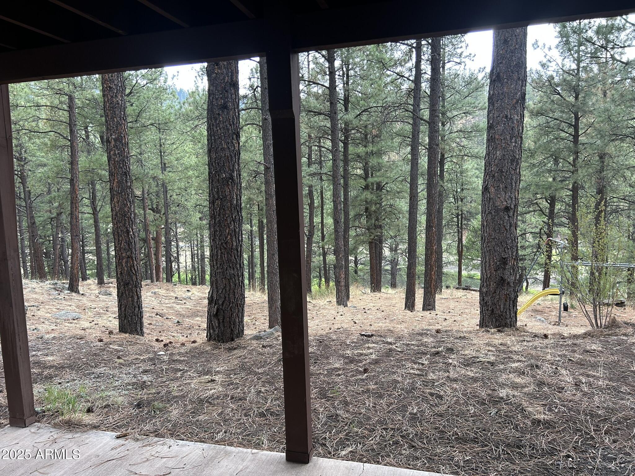 3 County Road Greer, AZ 85927 - Photo 5 of 65 a view of a yard with a tree