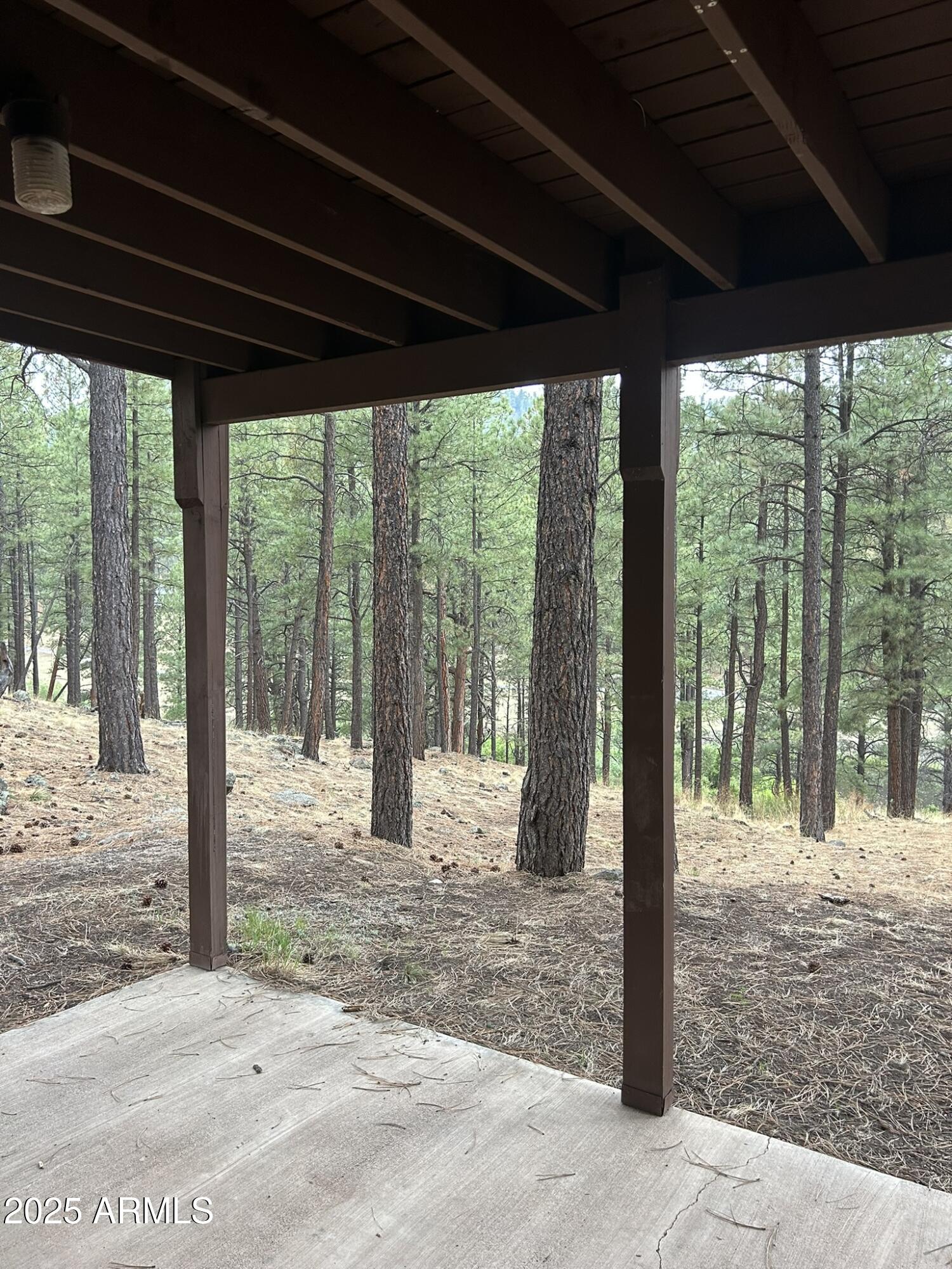 3 County Road Greer, AZ 85927 - Photo 51 of 65 IMG_3985