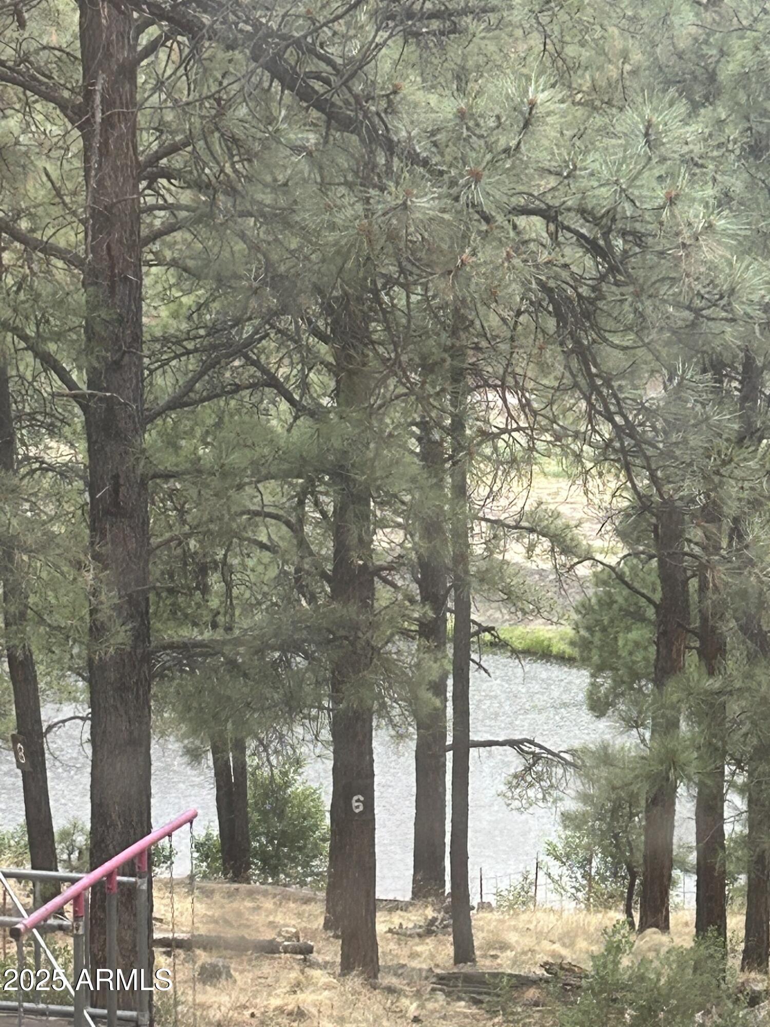 3 County Road Greer, AZ 85927 - Photo 62 of 65 IMG_4012