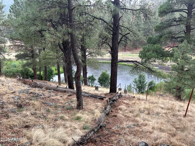 $874,500 | 3 County Road, Greer, AZ 85927