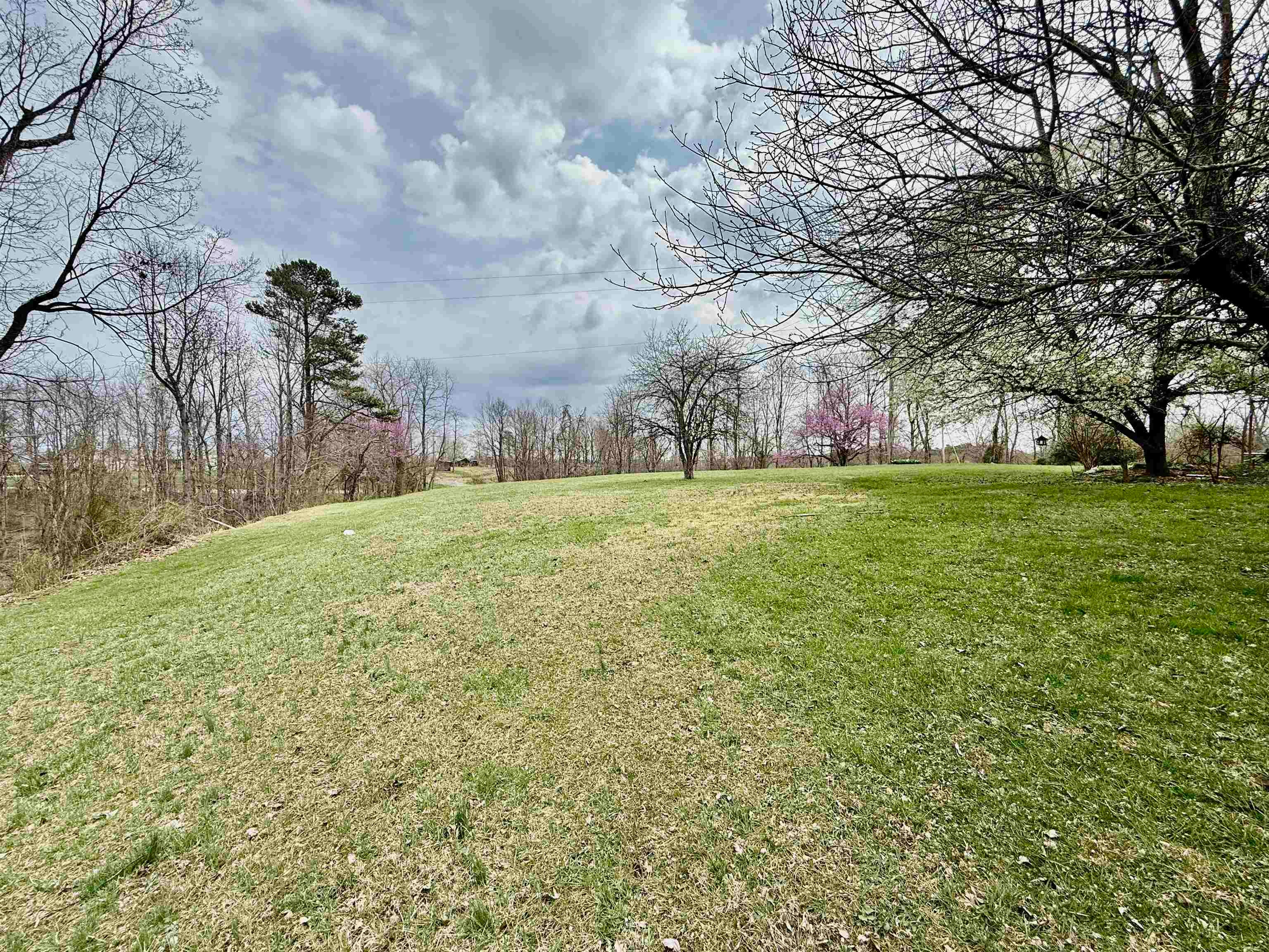 1755 Tombleson Run Road Letart, WV 25253 - Photo 4 of 27 Gallery Image 4