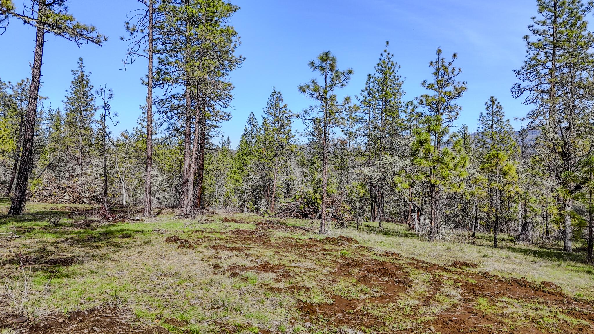 506 Greenleaf Drive Eagle Point, OR 97524 - Photo 37 of 38 DJI_20260227141733_0595_D-HDR