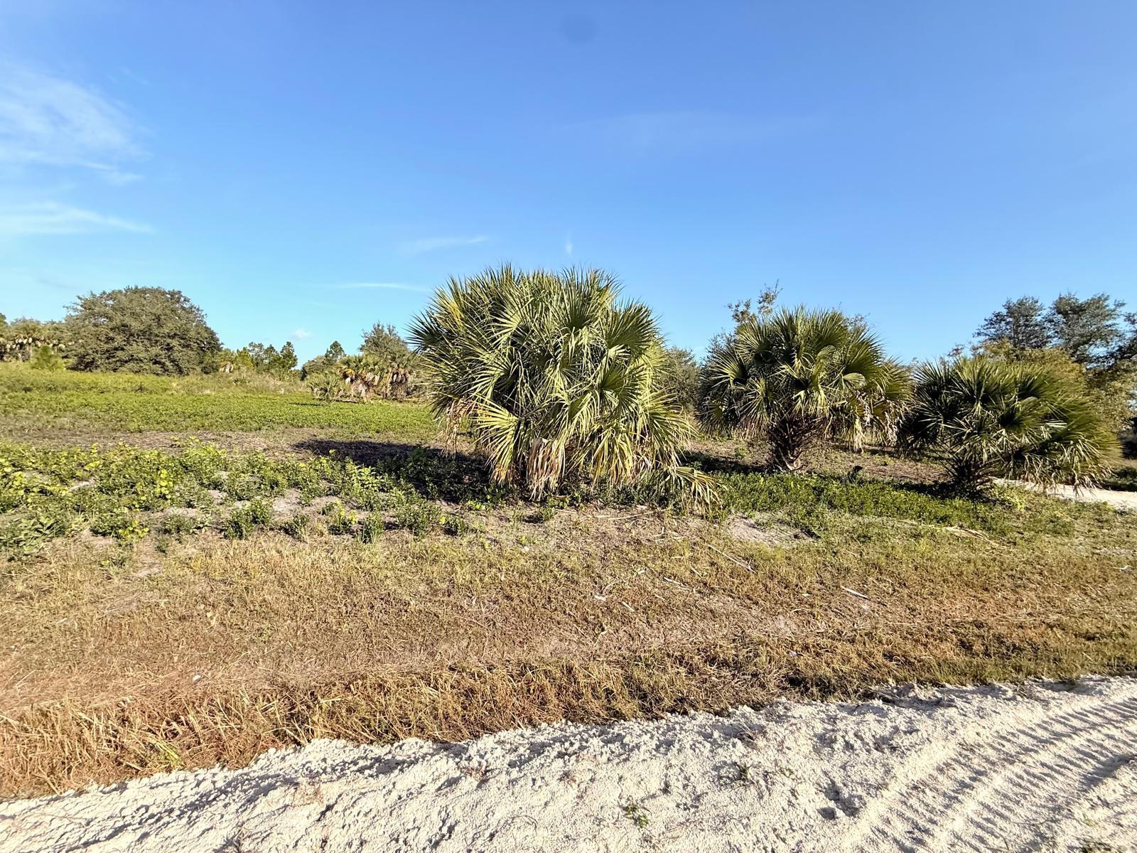 14765 Northwest 288th Street Okeechobee, FL 34972 - Photo 6 of 9 a view of a field with an ocean