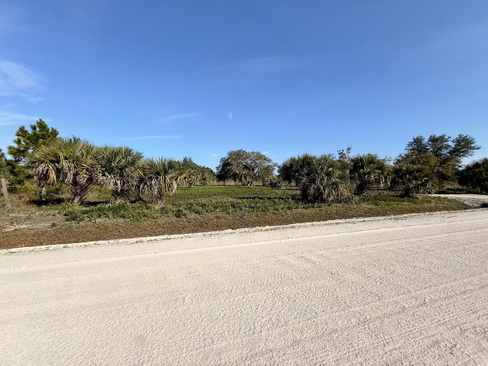 14765 Northwest 288th Street Okeechobee, FL 34972 - Photo 8 of 9