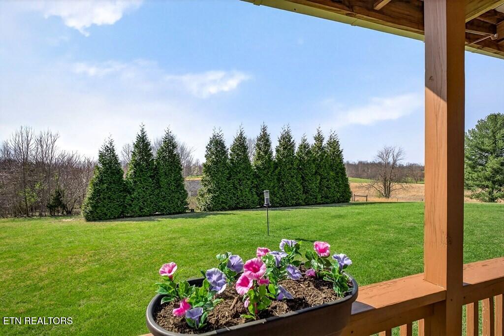 450 Low Gap Road Sparta, TN 38583 - Photo 55 of 56 BIL55