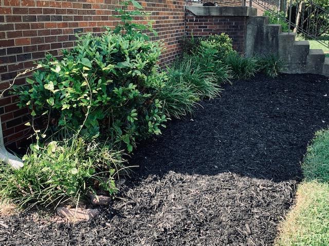 413 Cedarcliff Road Antioch, TN 37013 - Photo 10 of 12 a view of a garden with a house