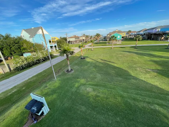 a view of a big yard with potted plants and large trees