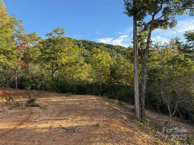 a view of a field with a tree in the background