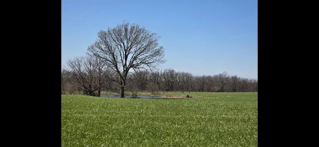 $293,400 | Lot 2 Southwest 295th Road, Holden, MO 64040