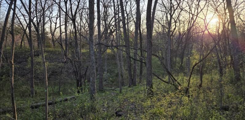 Lot 2 Southwest 295th Road Holden, MO 64040 - Photo 18 of 23