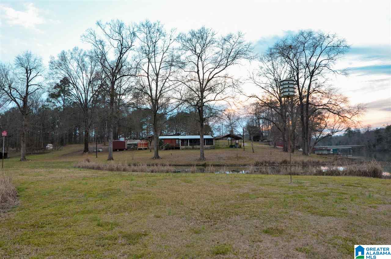 354 Gross Road Parrish, AL 35580 - Photo 7 of 10
