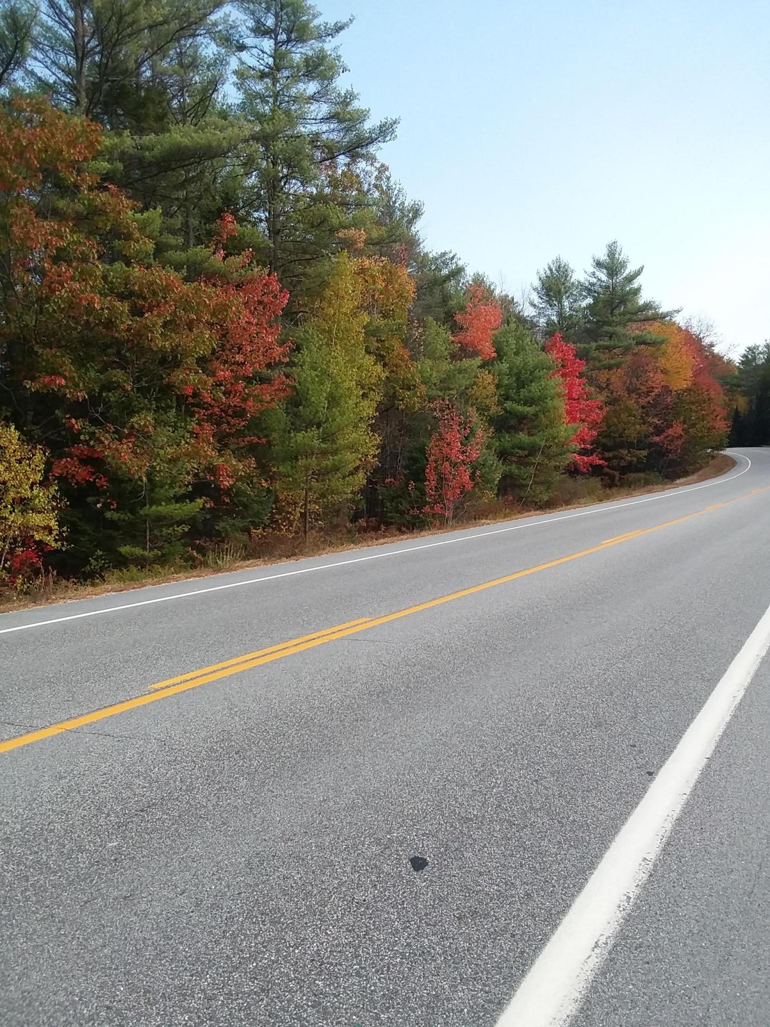 Mapr6-lot25 Harrison Road Norway, ME 04268 - Photo 4 of 5 20201010_111602