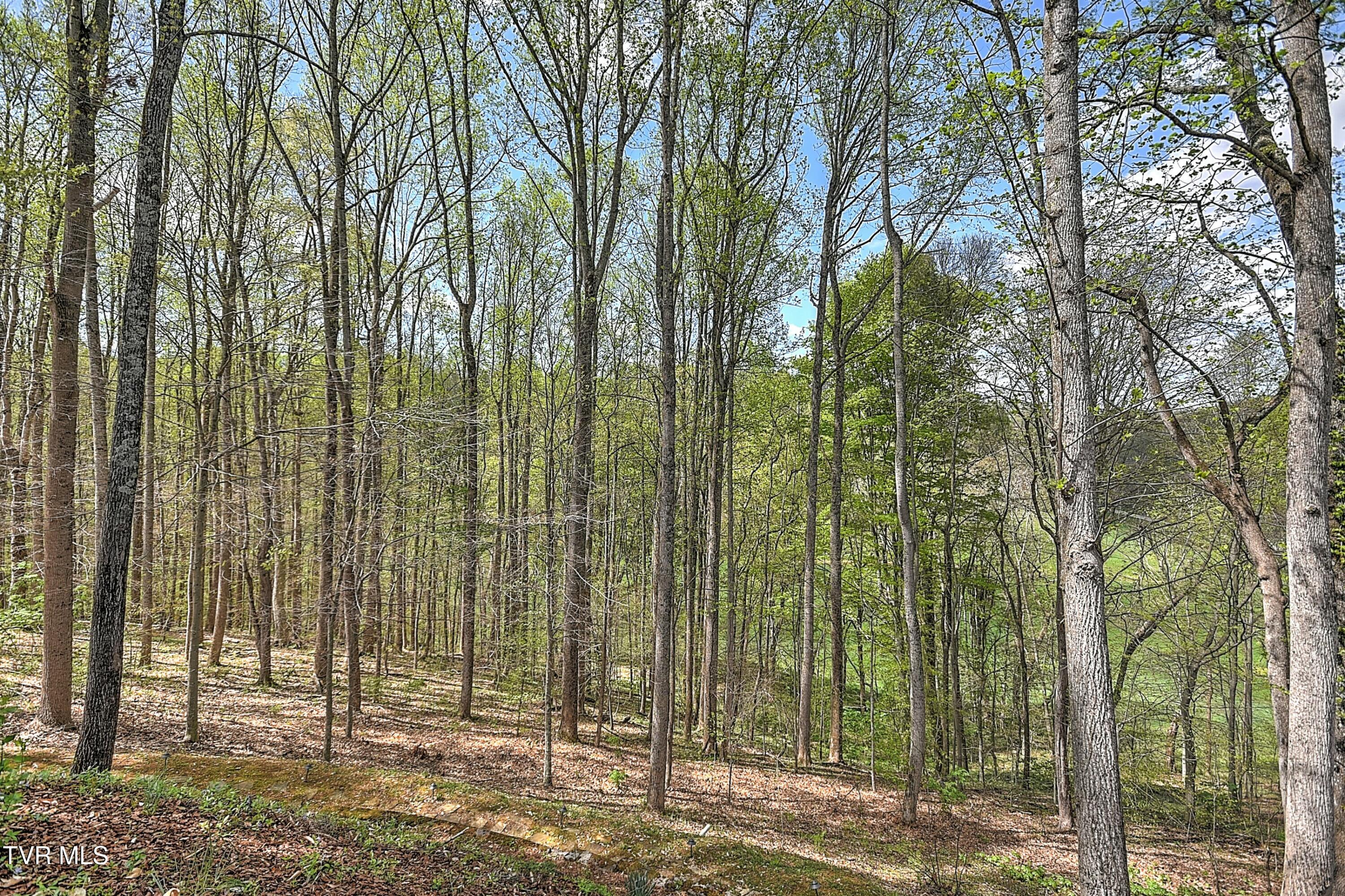 128 Ridgetop Drive Johnson City, TN 37615 - Photo 54 of 89 tempImageRmHCTh