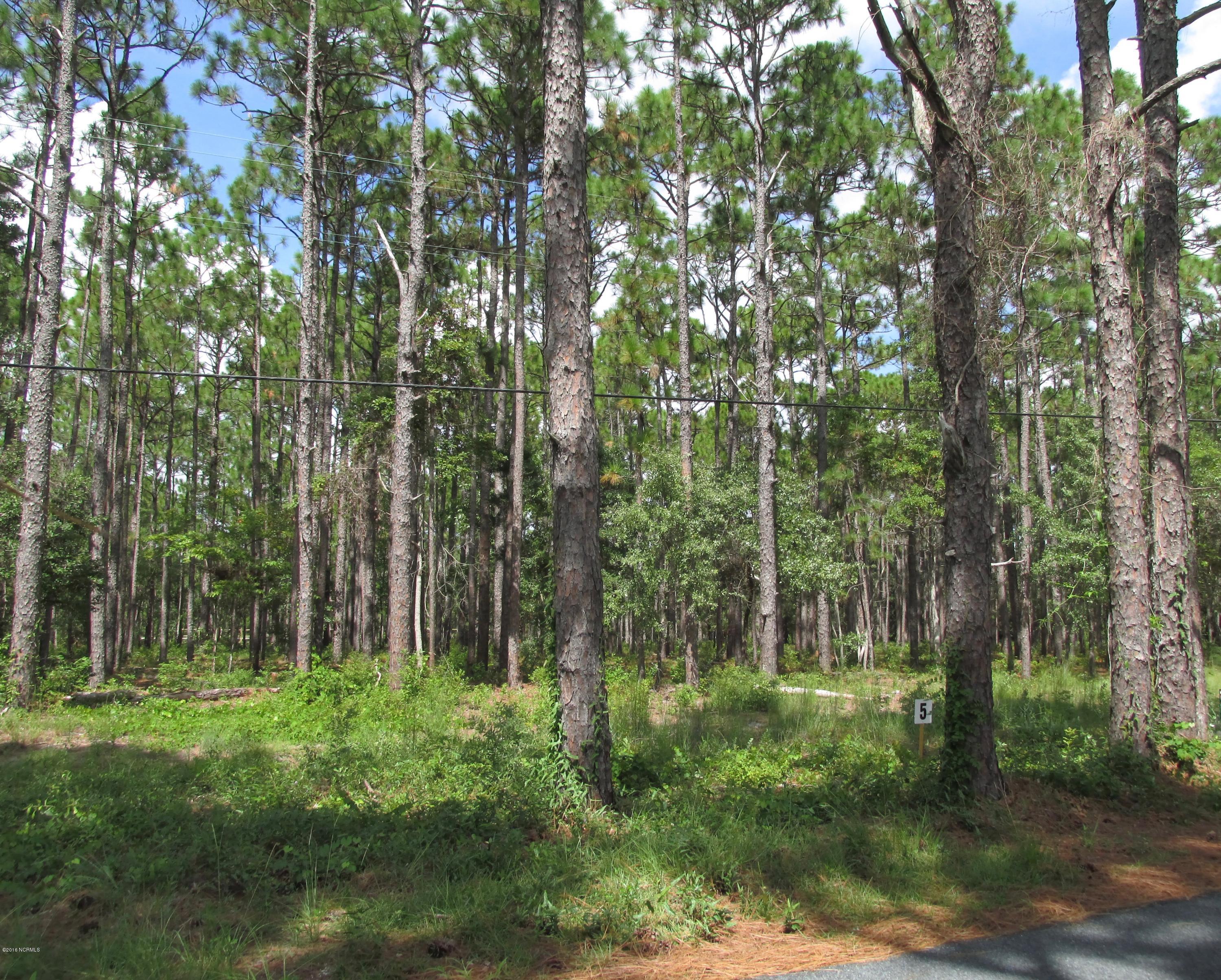 332 George Taylor Road Newport, NC 28570 - Photo 2 of 3 IMG_3121