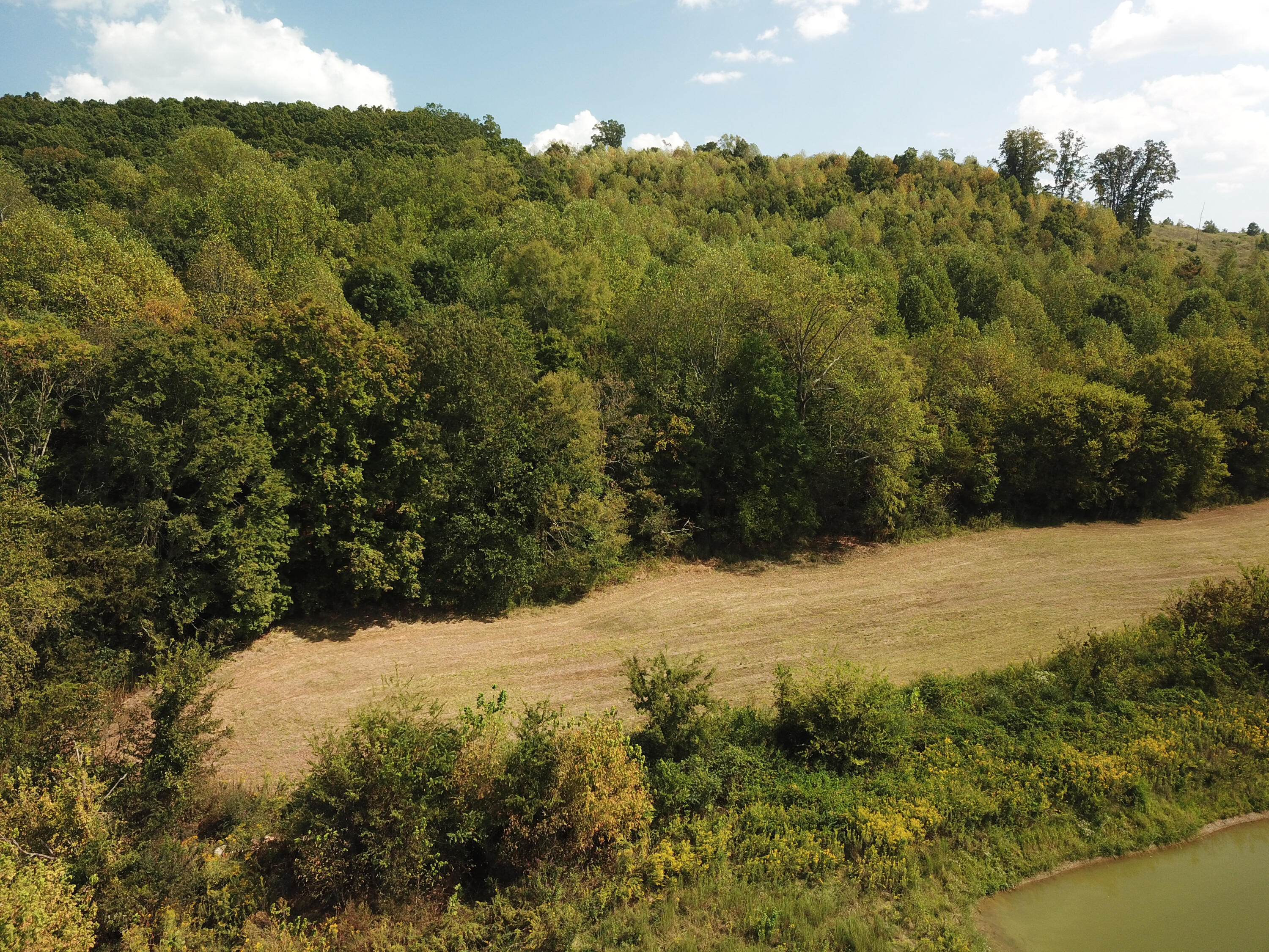 0 Lead Mine Valley Road Southwest Cleveland, TN 37311 - Photo 1 of 21 DJI_0027