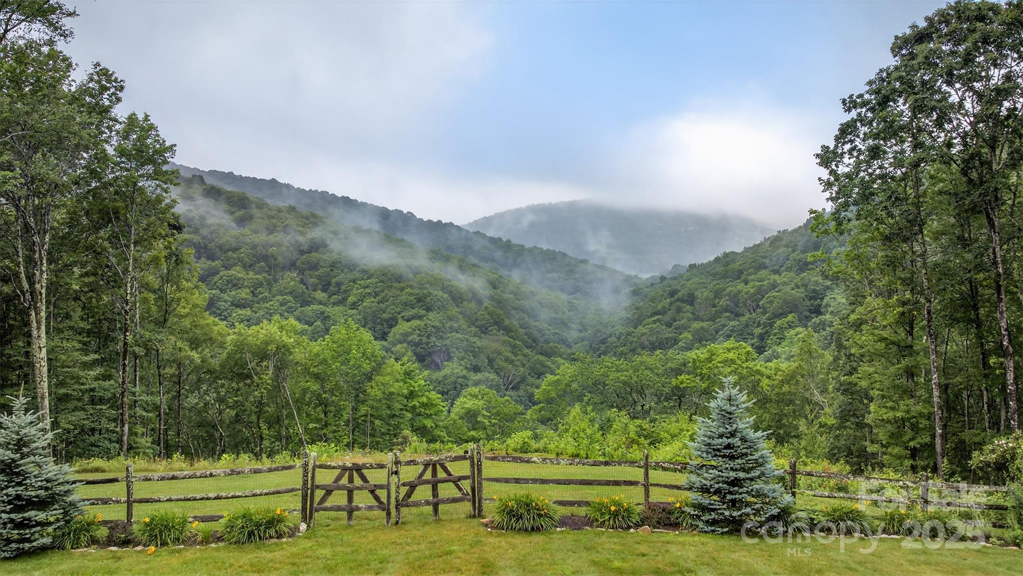 904 Bryan Hollow Road Boone, NC 28607 - Photo 47 of 48