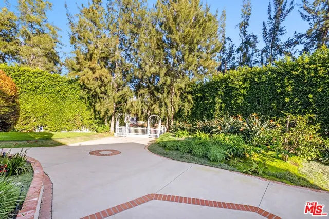 a view of a yard with plants and trees
