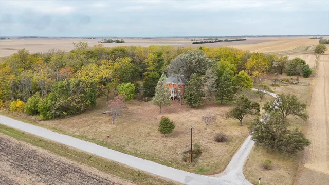 a view of an house with backyard and a large tree