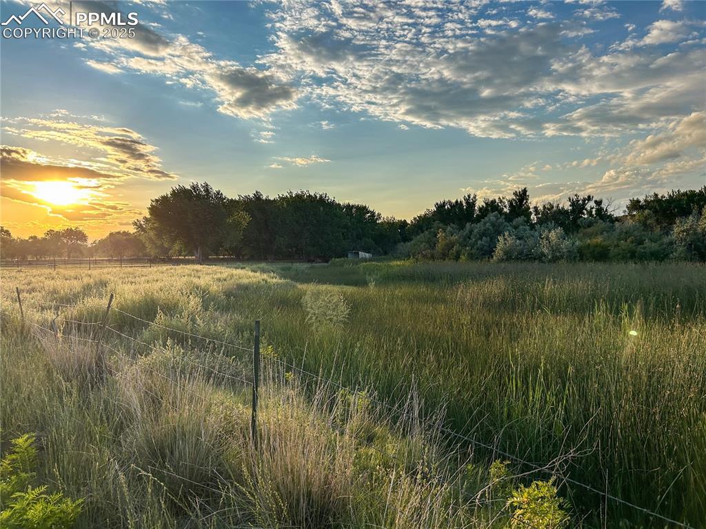 a view of a lake with houses in the back