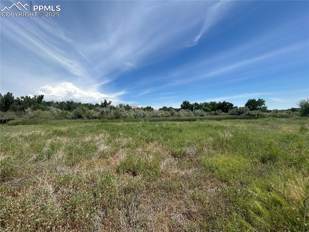 119 County Road Florence, CO 81226 - Photo 4 of 9 a view of a lake with houses in the back