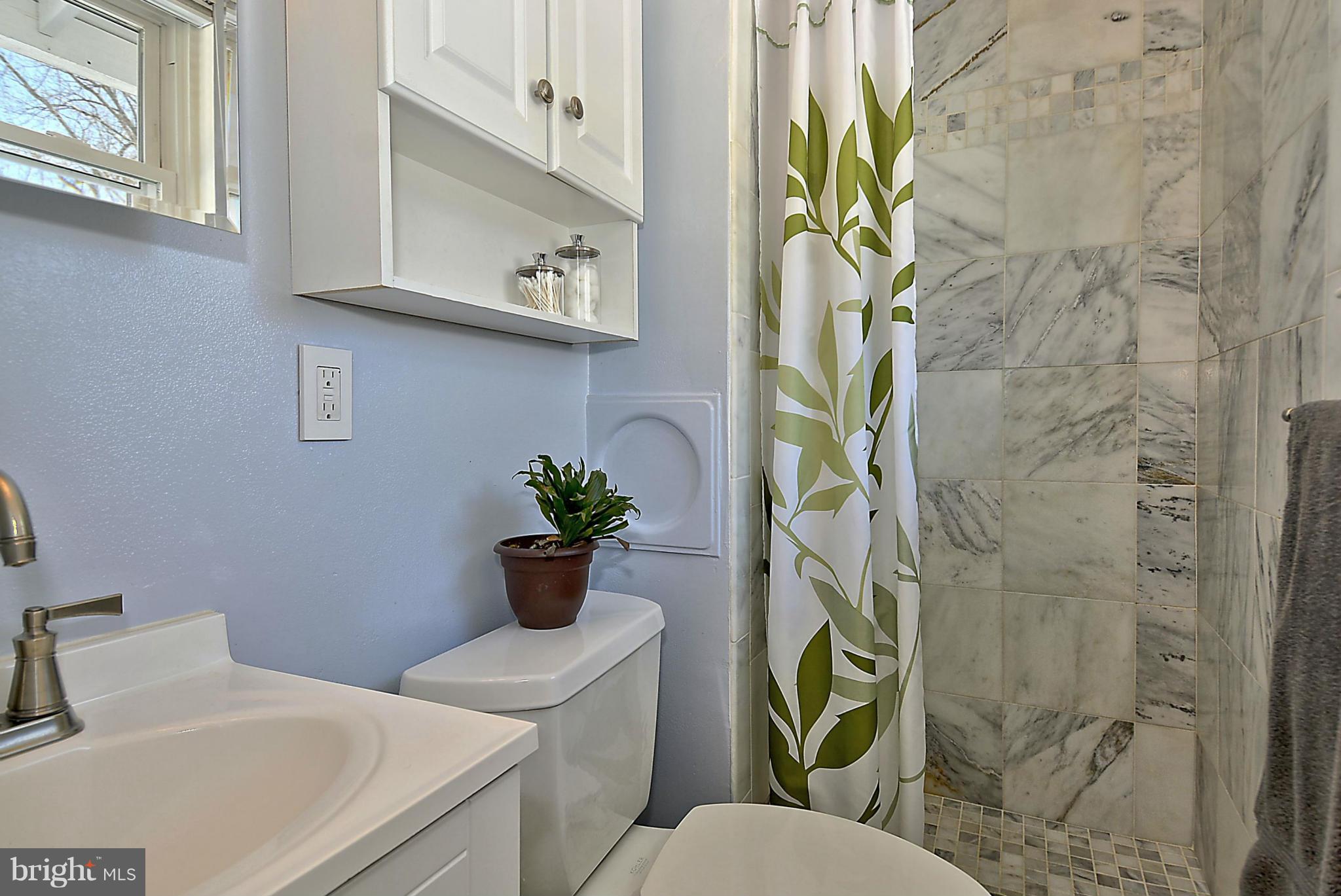 316 Irwin Street Silver Spring, MD 20901 - Photo 15 of 30 Bath (Master)