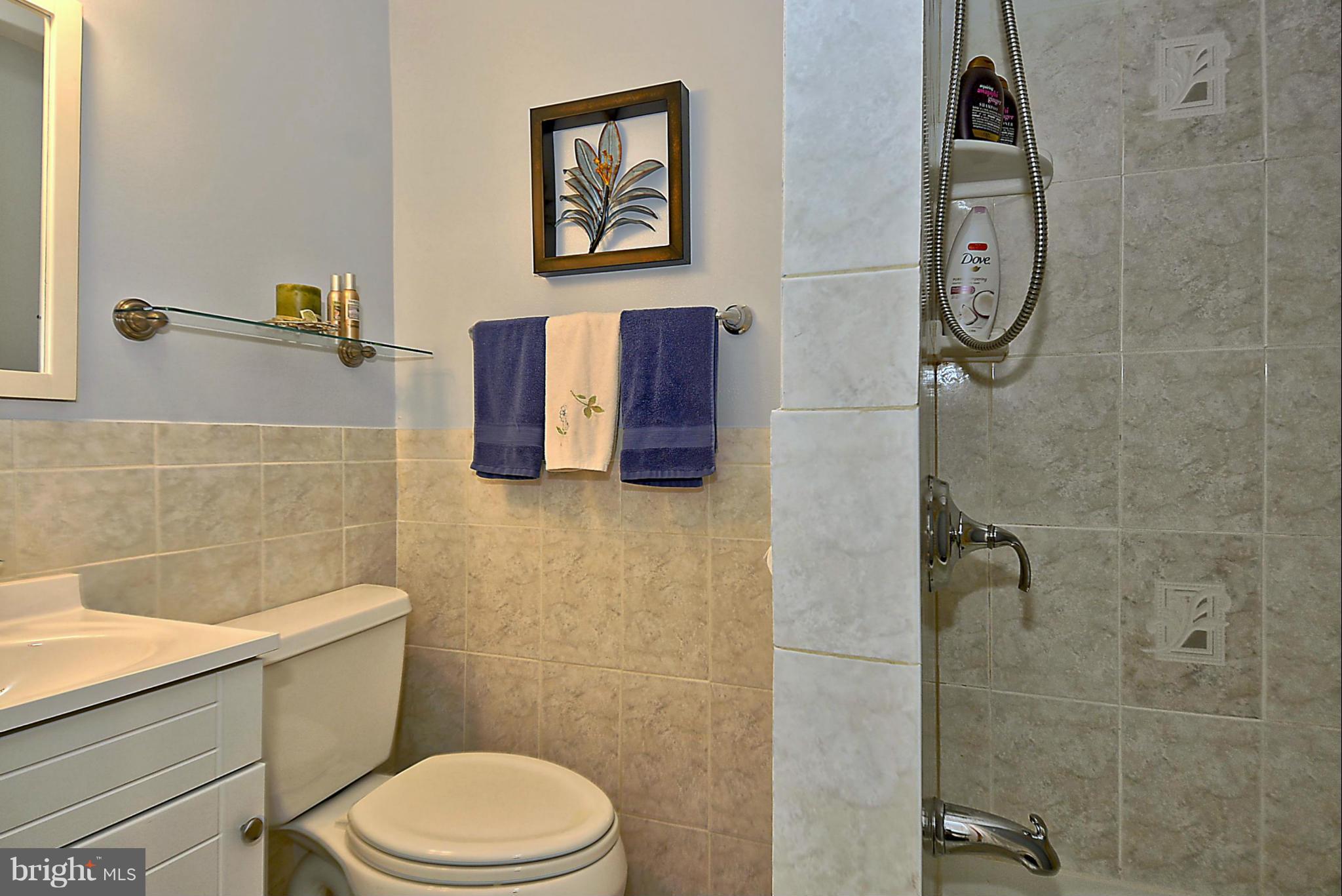 316 Irwin Street Silver Spring, MD 20901 - Photo 23 of 30 Lower Level