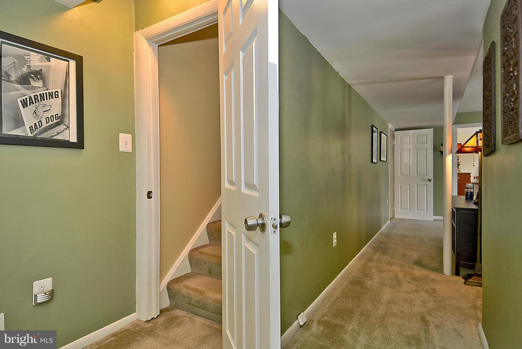 316 Irwin Street Silver Spring, MD 20901 - Photo 25 of 30 Lower Level