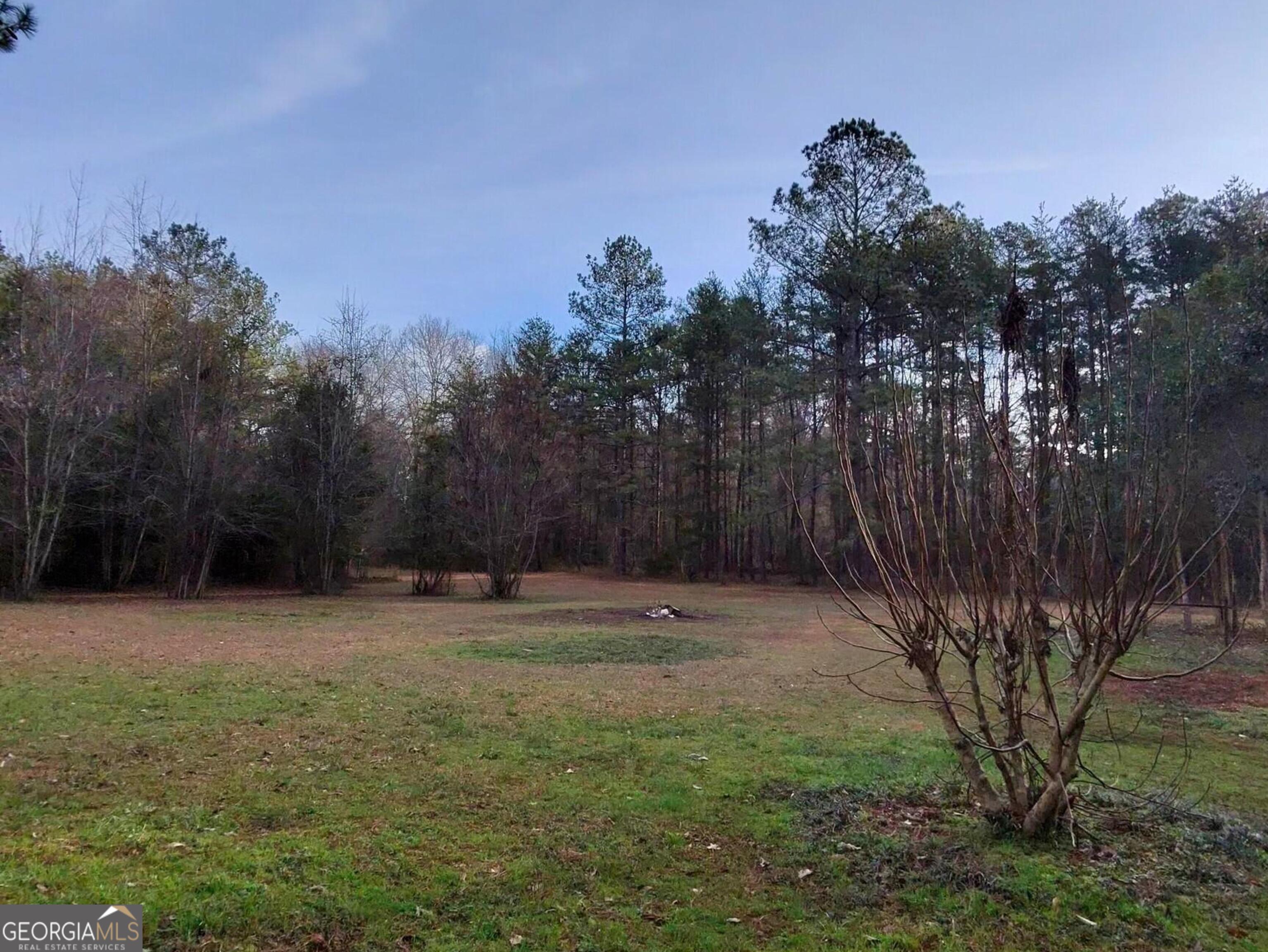 173 Preston Road Byron, GA 31008 - Photo 22 of 22 a backyard of a house with lots of green space