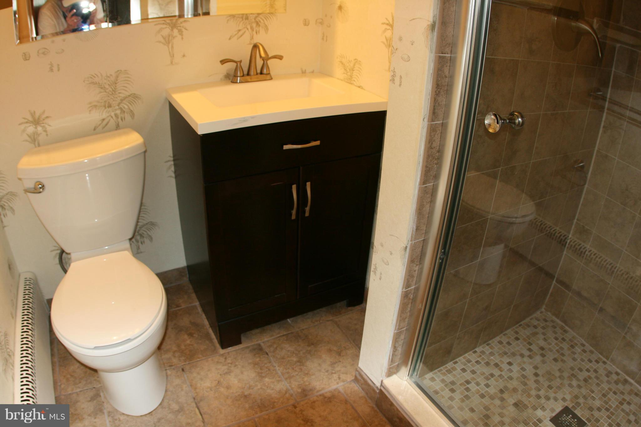 916 Rambling Drive Baltimore, MD 21228 - Photo 18 of 30 Bath (Master)