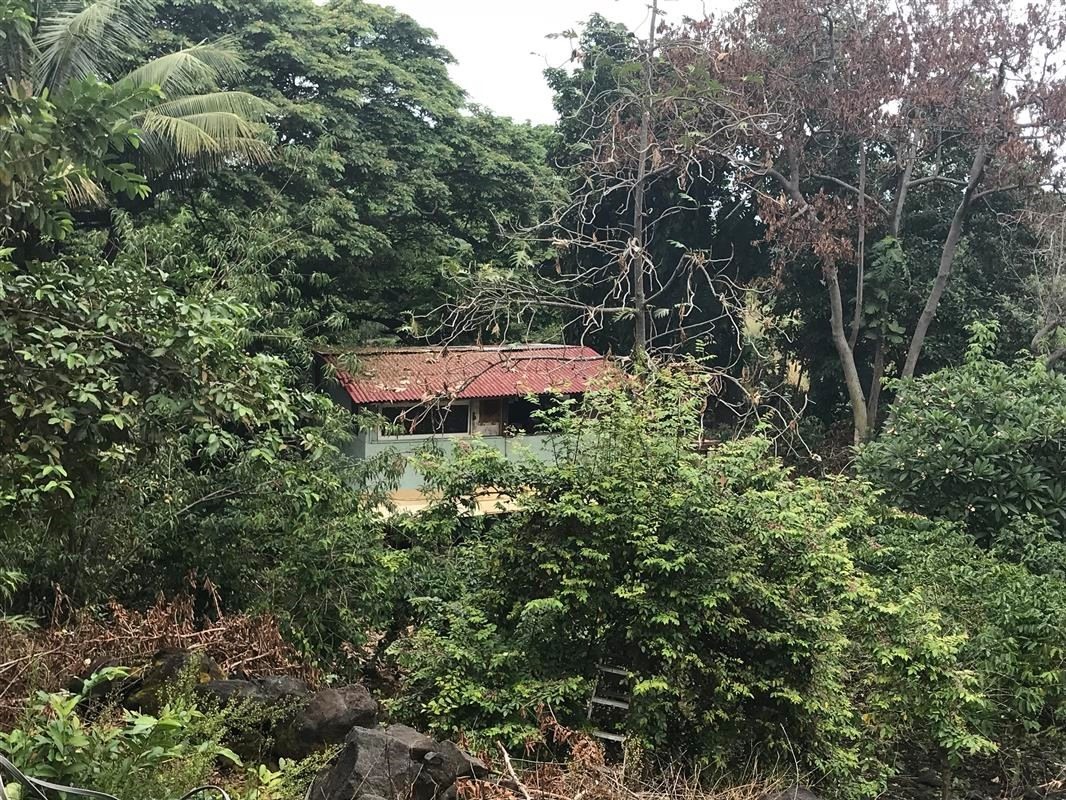 83-5329 Painted Church Road Captain Cook, HI 96704 - Photo 4 of 13 Gallery Image 4