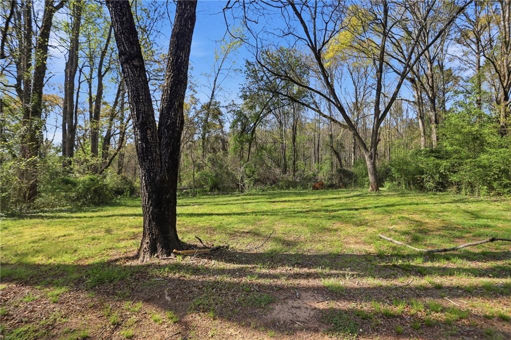 714 Reed Street Monroe, GA 30655 - Photo 30 of 31 a view of a yard with a tree