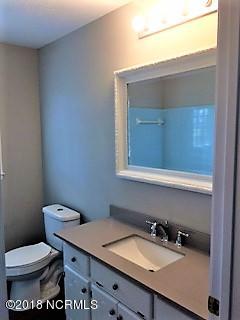 310 Eldon Thornton Road Faison, NC 28341 - Photo 3 of 6 Bathroom