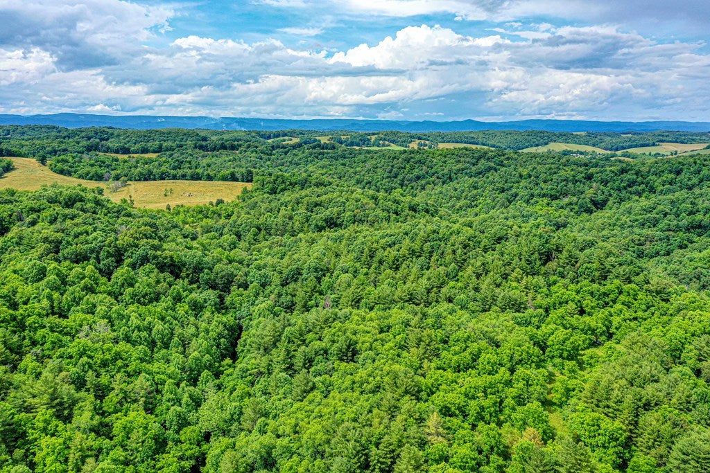 4662 Cedar Springs Road, Unit 4 AND 002 Rural Retreat, VA 24368 - Photo 9 of 52 Gallery Image 9