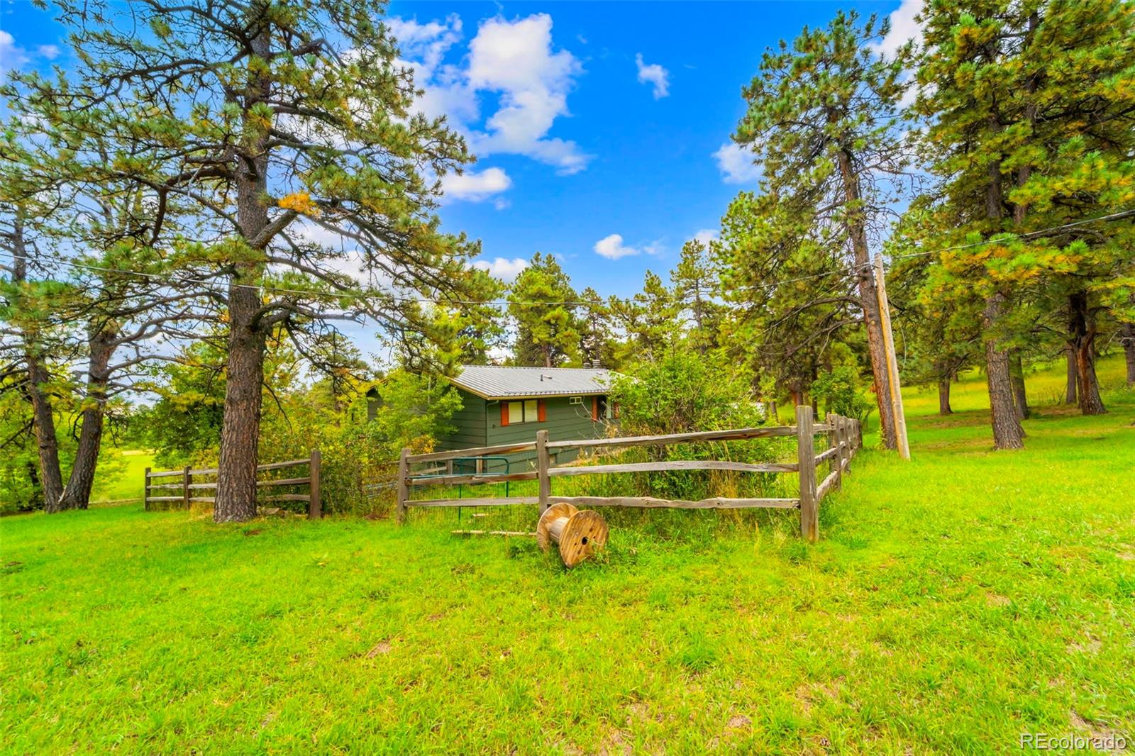 10829 Bartlett Trail Rye, CO 81069 - Photo 27 of 40 a view of a park with large trees