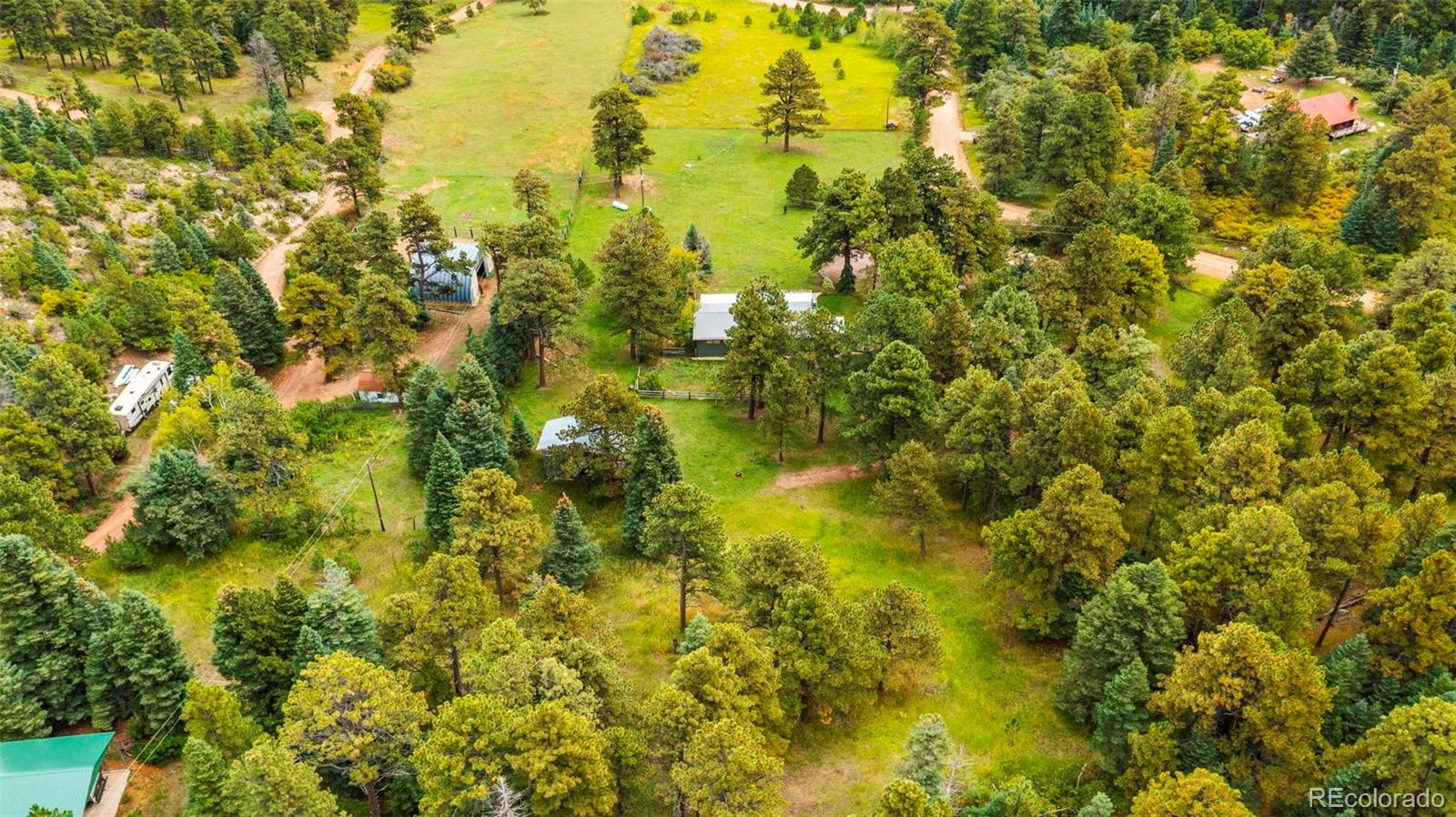 10829 Bartlett Trail Rye, CO 81069 - Photo 38 of 40 a view of a large trees